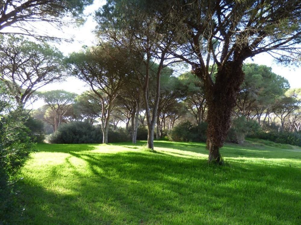 Hotel Fortezza Arborea Exterior foto